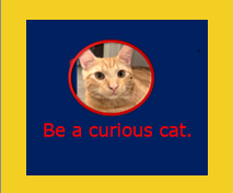GoldFrameCuriousCat